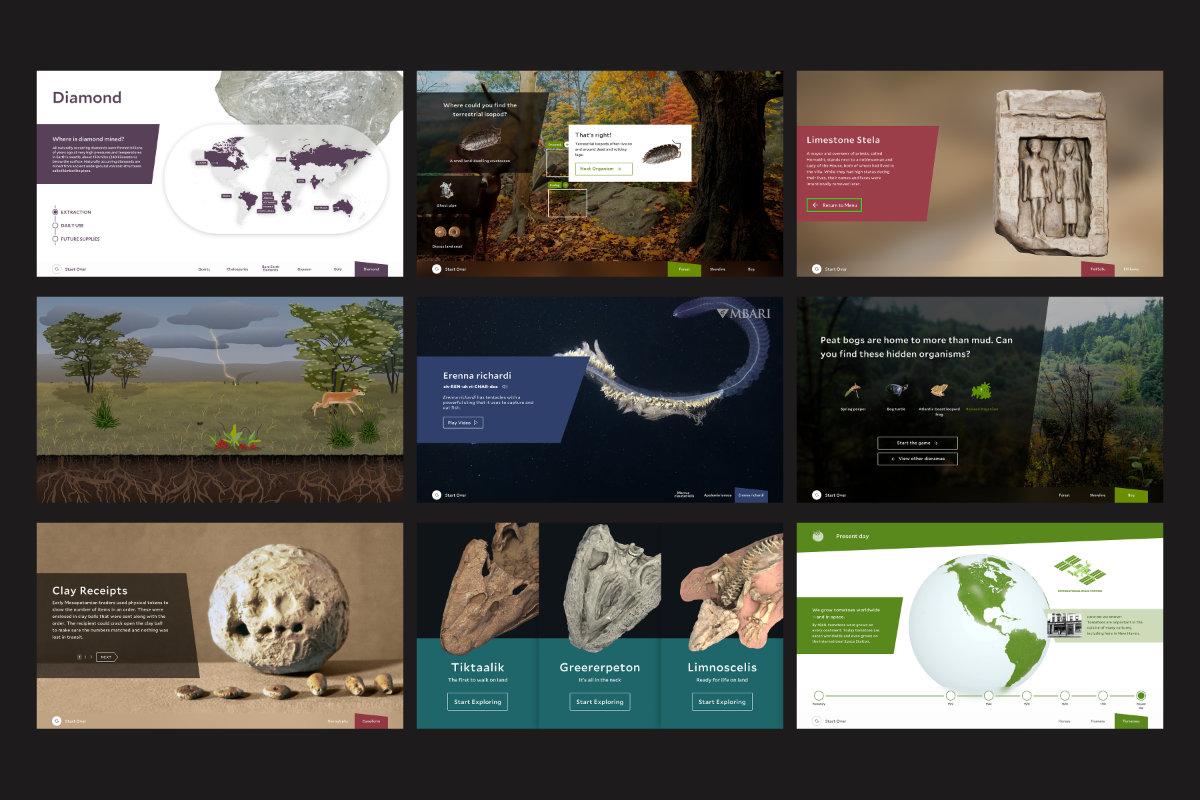 Yale Peabody Museum 3